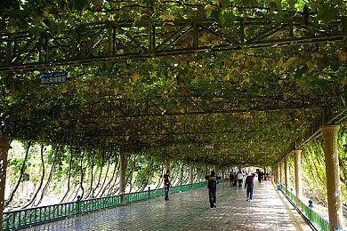 动视新工作室Elsewhere 75%的员工来自CDPR